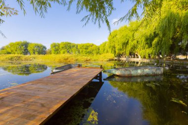 güzel manzara ve sultanmarshes (kuş cenneti) yanındaki erciyes Dağı, kayseri