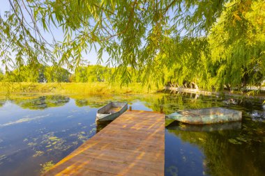 güzel manzara ve sultanmarshes (kuş cenneti) yanındaki erciyes Dağı, kayseri