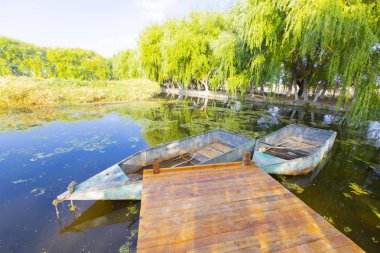 güzel manzara ve sultanmarshes (kuş cenneti) yanındaki erciyes Dağı, kayseri