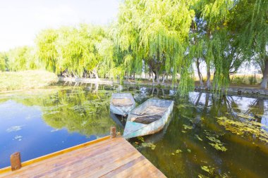 güzel manzara ve sultanmarshes (kuş cenneti) yanındaki erciyes Dağı, kayseri
