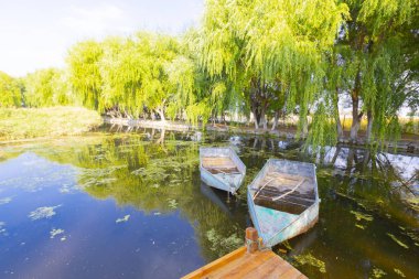güzel manzara ve sultanmarshes (kuş cenneti) yanındaki erciyes Dağı, kayseri