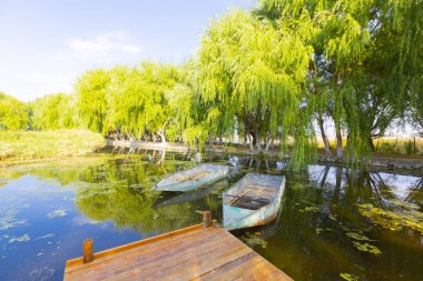 güzel manzara ve sultanmarshes (kuş cenneti) yanındaki erciyes Dağı, kayseri