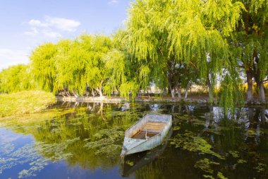 güzel manzara ve sultanmarshes (kuş cenneti) yanındaki erciyes Dağı, kayseri