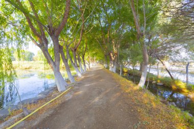 güzel manzara ve sultanmarshes (kuş cenneti) yanındaki erciyes Dağı, kayseri