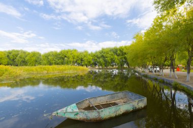 güzel manzara ve sultanmarshes (kuş cenneti) yanındaki erciyes Dağı, kayseri