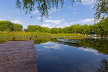 güzel manzara ve sultanmarshes (kuş cenneti) yanındaki erciyes Dağı, kayseri