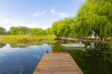 güzel manzara ve sultanmarshes (kuş cenneti) yanındaki erciyes Dağı, kayseri