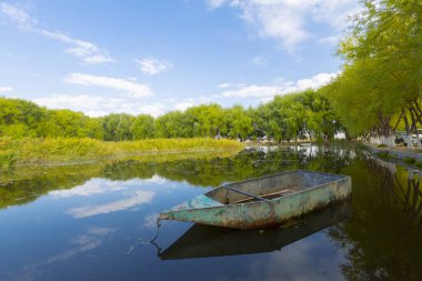 güzel manzara ve sultanmarshes (kuş cenneti) yanındaki erciyes Dağı, kayseri