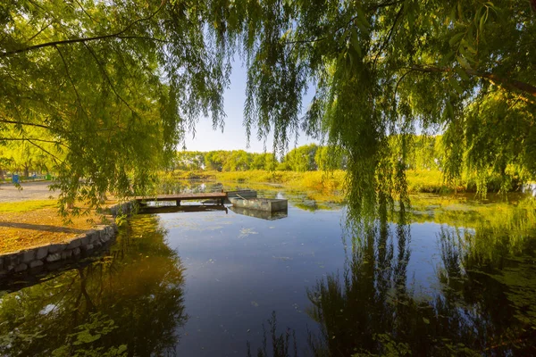 güzel manzara ve sultanmarshes (kuş cenneti) yanındaki erciyes Dağı, kayseri