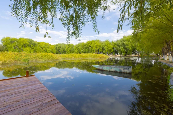 güzel manzara ve sultanmarshes (kuş cenneti) yanındaki erciyes Dağı, kayseri