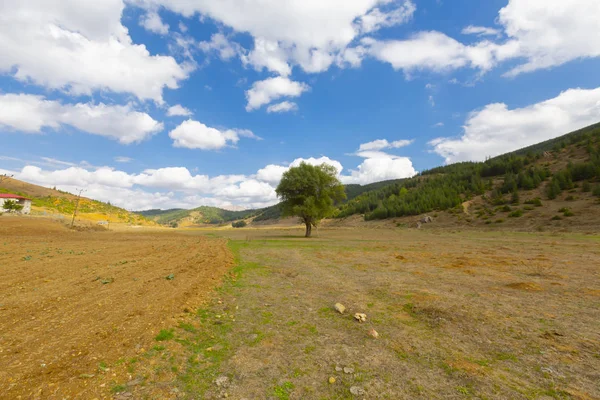 güzel manzara ve sultanmarshes (kuş cenneti) yanındaki erciyes Dağı, kayseri