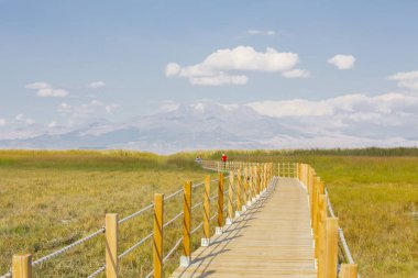güzel manzara ve sultanmarshes (kuş cenneti) yanındaki erciyes Dağı, kayseri