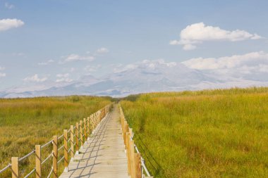 güzel manzara ve sultanmarshes (kuş cenneti) yanındaki erciyes Dağı, kayseri