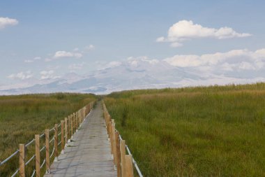 güzel manzara ve sultanmarshes (kuş cenneti) yanındaki erciyes Dağı, kayseri