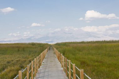 güzel manzara ve sultanmarshes (kuş cenneti) yanındaki erciyes Dağı, kayseri
