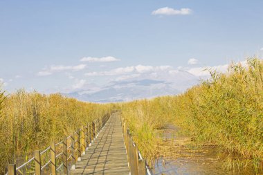 güzel manzara ve sultanmarshes (kuş cenneti) yanındaki erciyes Dağı, kayseri
