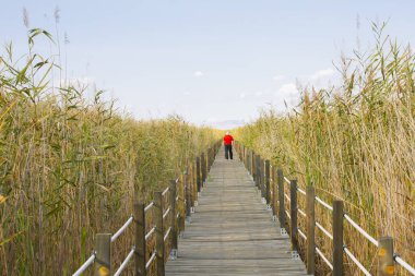 güzel manzara ve sultanmarshes (kuş cenneti) yanındaki erciyes Dağı, kayseri