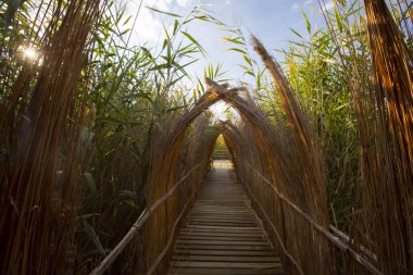 güzel manzara ve sultanmarshes (kuş cenneti) yanındaki erciyes Dağı, kayseri