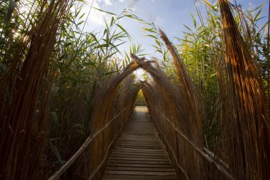 güzel manzara ve sultanmarshes (kuş cenneti) yanındaki erciyes Dağı, kayseri