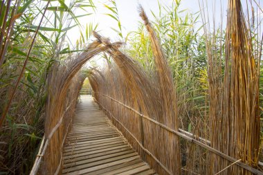 güzel manzara ve sultanmarshes (kuş cenneti) yanındaki erciyes Dağı, kayseri