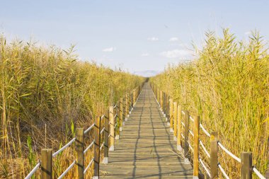 güzel manzara ve sultanmarshes (kuş cenneti) yanındaki erciyes Dağı, kayseri