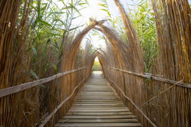 güzel manzara ve sultanmarshes (kuş cenneti) yanındaki erciyes Dağı, kayseri