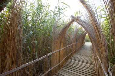 güzel manzara ve sultanmarshes (kuş cenneti) yanındaki erciyes Dağı, kayseri