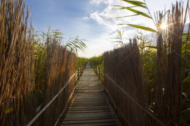güzel manzara ve sultanmarshes (kuş cenneti) yanındaki erciyes Dağı, kayseri