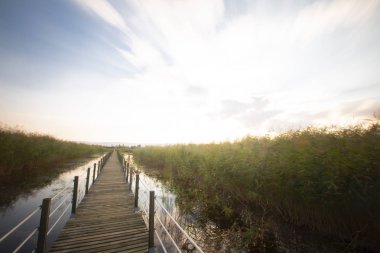 güzel manzara ve sultanmarshes (kuş cenneti) yanındaki erciyes Dağı, kayseri