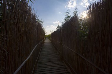 güzel manzara ve sultanmarshes (kuş cenneti) yanındaki erciyes Dağı, kayseri