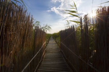 güzel manzara ve sultanmarshes (kuş cenneti) yanındaki erciyes Dağı, kayseri