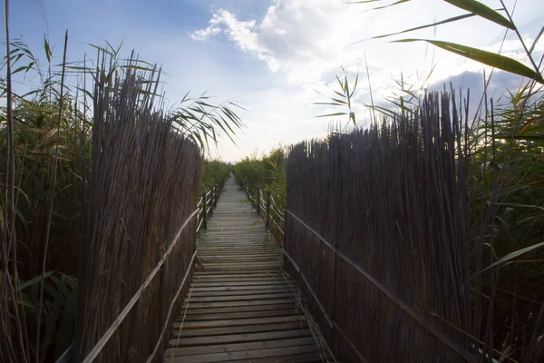güzel manzara ve sultanmarshes (kuş cenneti) yanındaki erciyes Dağı, kayseri