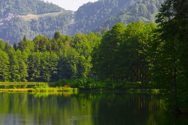 Borcka Karagol Lago Negro Artvin Provincia Turquía — Foto de Stock