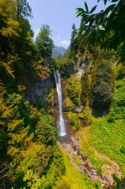 Maral Şelalesi. Şelale, deniz seviyesinden 63 m yüksekliktetek bir eğimden düşer. Borcka, Macahel, Artvin, Türkiye.