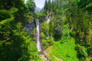 Maral Şelalesi. Şelale, deniz seviyesinden 63 m yüksekliktetek bir eğimden düşer. Borcka, Macahel, Artvin, Türkiye.