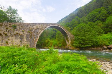 Türkiye'nin Karadeniz bölgesinde sisin altında nehir üzerinde eski tarihi taş köprü. Senyuva'da tarihi Osmanlı köprüsü Taşköprü, Ermenice Cinciva, Rize'de Çamlıhemşin yakınlarındaki Firtina nehri üzerinde