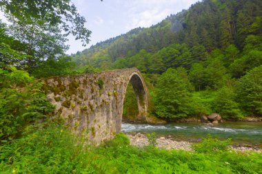 Türkiye'nin Karadeniz bölgesinde sisin altında nehir üzerinde eski tarihi taş köprü. Senyuva'da tarihi Osmanlı köprüsü Taşköprü, Ermenice Cinciva, Rize'de Çamlıhemşin yakınlarındaki Firtina nehri üzerinde