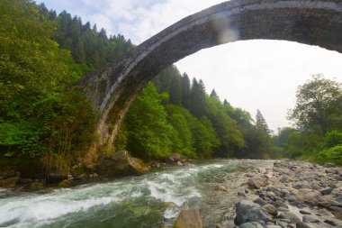 Türkiye'nin Karadeniz bölgesinde sisin altında nehir üzerinde eski tarihi taş köprü. Senyuva'da tarihi Osmanlı köprüsü Taşköprü, Ermenice Cinciva, Rize'de Çamlıhemşin yakınlarındaki Firtina nehri üzerinde