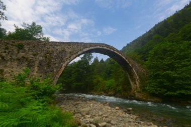 Türkiye'nin Karadeniz bölgesinde sisin altında nehir üzerinde eski tarihi taş köprü. Senyuva'da tarihi Osmanlı köprüsü Taşköprü, Ermenice Cinciva, Rize'de Çamlıhemşin yakınlarındaki Firtina nehri üzerinde
