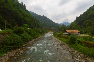 Türkiye'nin Karadeniz bölgesinde sisin altında nehir üzerinde eski tarihi taş köprü. Senyuva'da tarihi Osmanlı köprüsü Taşköprü, Ermenice Cinciva, Rize'de Çamlıhemşin yakınlarındaki Firtina nehri üzerinde
