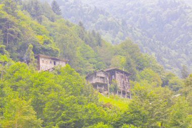 Türkiye'nin Karadeniz bölgesinde sisin altında nehir üzerinde eski tarihi taş köprü. Senyuva'da tarihi Osmanlı köprüsü Taşköprü, Ermenice Cinciva, Rize'de Çamlıhemşin yakınlarındaki Firtina nehri üzerinde