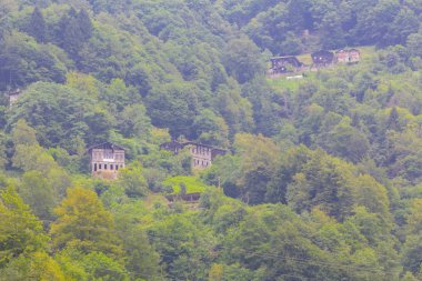Türkiye'nin Karadeniz bölgesinde sisin altında nehir üzerinde eski tarihi taş köprü. Senyuva'da tarihi Osmanlı köprüsü Taşköprü, Ermenice Cinciva, Rize'de Çamlıhemşin yakınlarındaki Firtina nehri üzerinde