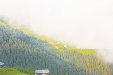 Türkiye'nin kuzeydoğusundaki Karadeniz bölgesinin yeşil doğası, karlı dağları ve geleneksel ahşap yayla evleri (yayla evi). Haziran 2019'da Rize'nin Pokut Yaylası'nda manzara çekimi yapıldı.