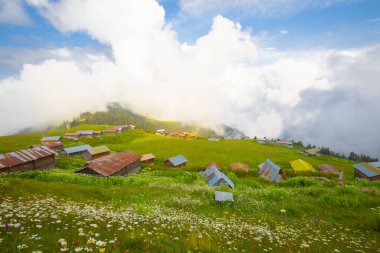 Türkiye'nin kuzeydoğusundaki Karadeniz bölgesinin yeşil doğası, karlı dağları ve geleneksel ahşap yayla evleri (yayla evi). Haziran 2019'da Rize'nin Pokut Yaylası'nda manzara çekimi yapıldı.