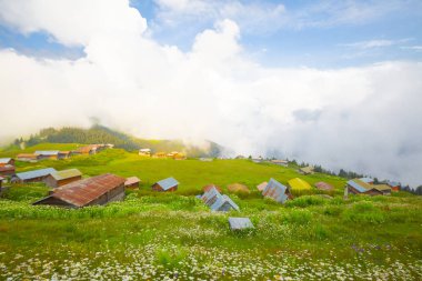 Türkiye'nin kuzeydoğusundaki Karadeniz bölgesinin yeşil doğası, karlı dağları ve geleneksel ahşap yayla evleri (yayla evi). Haziran 2019'da Rize'nin Pokut Yaylası'nda manzara çekimi yapıldı.