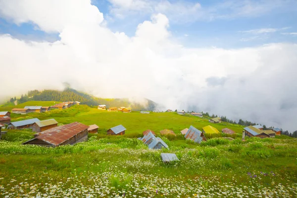 Groene Natuur Besneeuwde Bergen Traditionele Houten Plateau Huizen Yayla Evi — Stockfoto