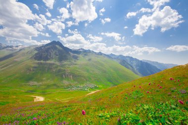 Sis Nehri (Trovit Kapısı / Çamlıhemşin / Rize)