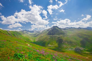 Sis Nehri (Trovit Kapısı / Çamlıhemşin / Rize)