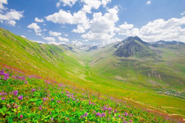 Sis Nehri (Trovit Kapısı / Çamlıhemşin / Rize)