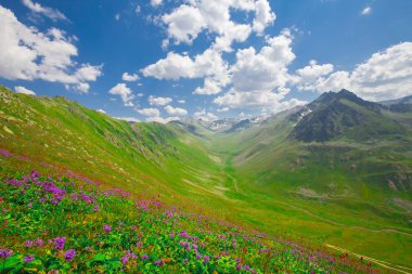 Sis Nehri (Trovit Kapısı / Çamlıhemşin / Rize)
